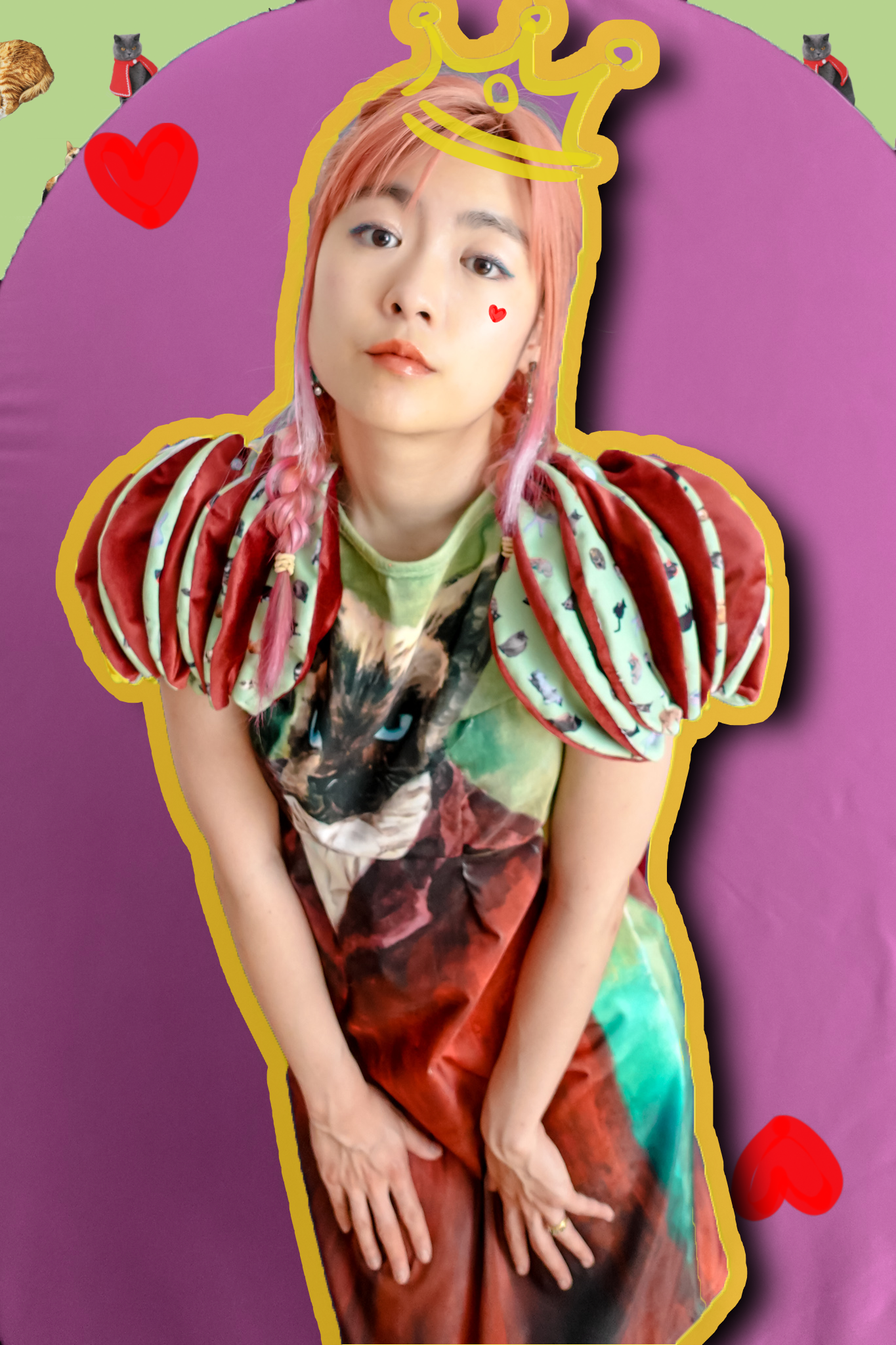 Meow dress with your cats