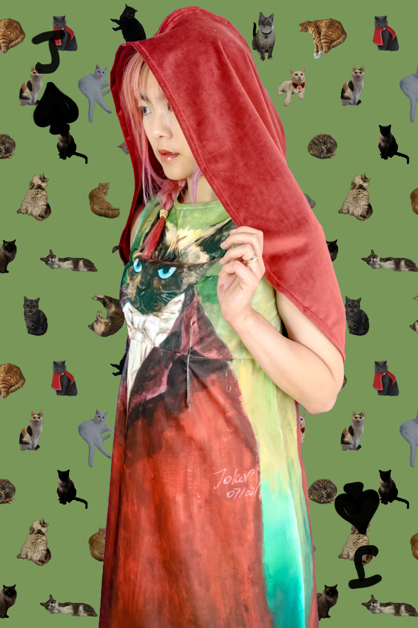 Meow dress with your cats