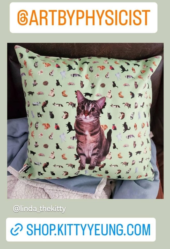 Meow pillow and case