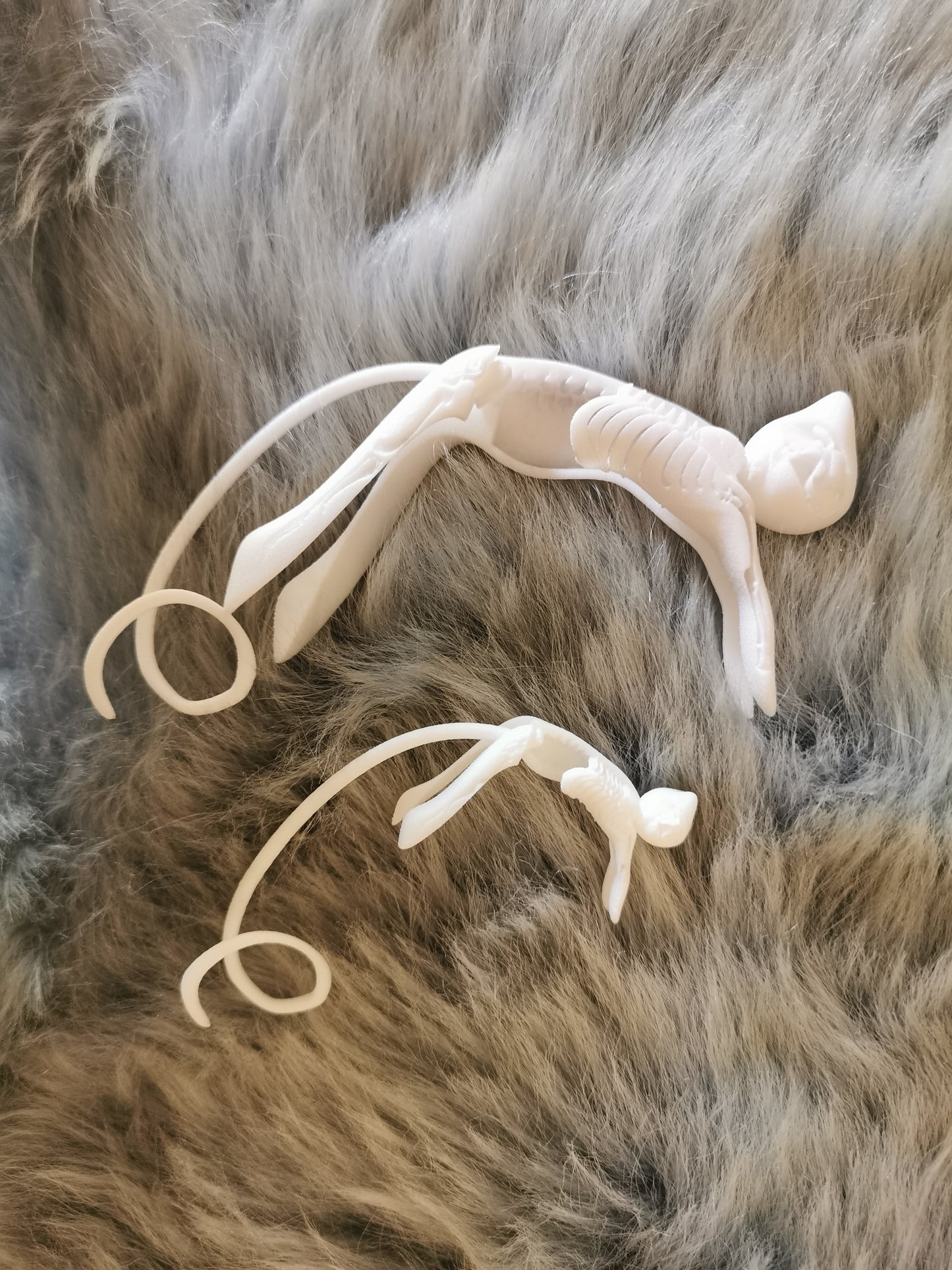 Quantum Cat cuff earring & ring