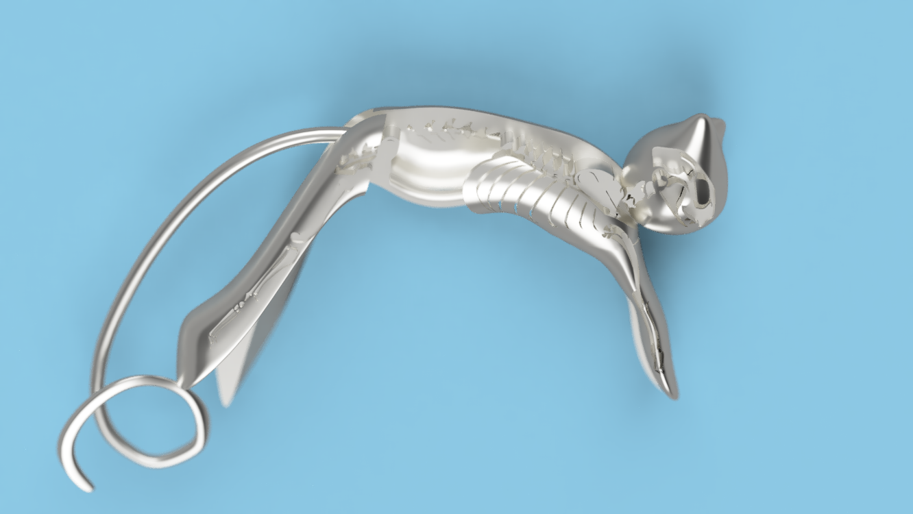 Quantum Cat cuff earring & ring