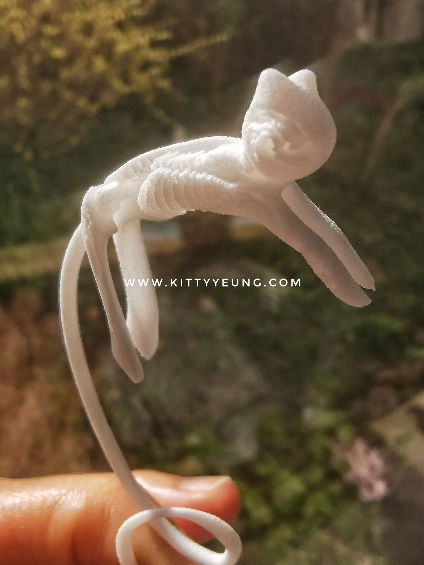 Quantum Cat cuff earring & ring