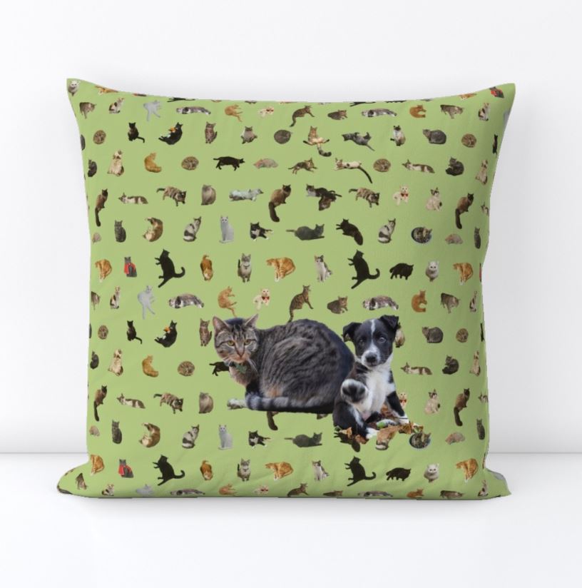 Meow pillow and case