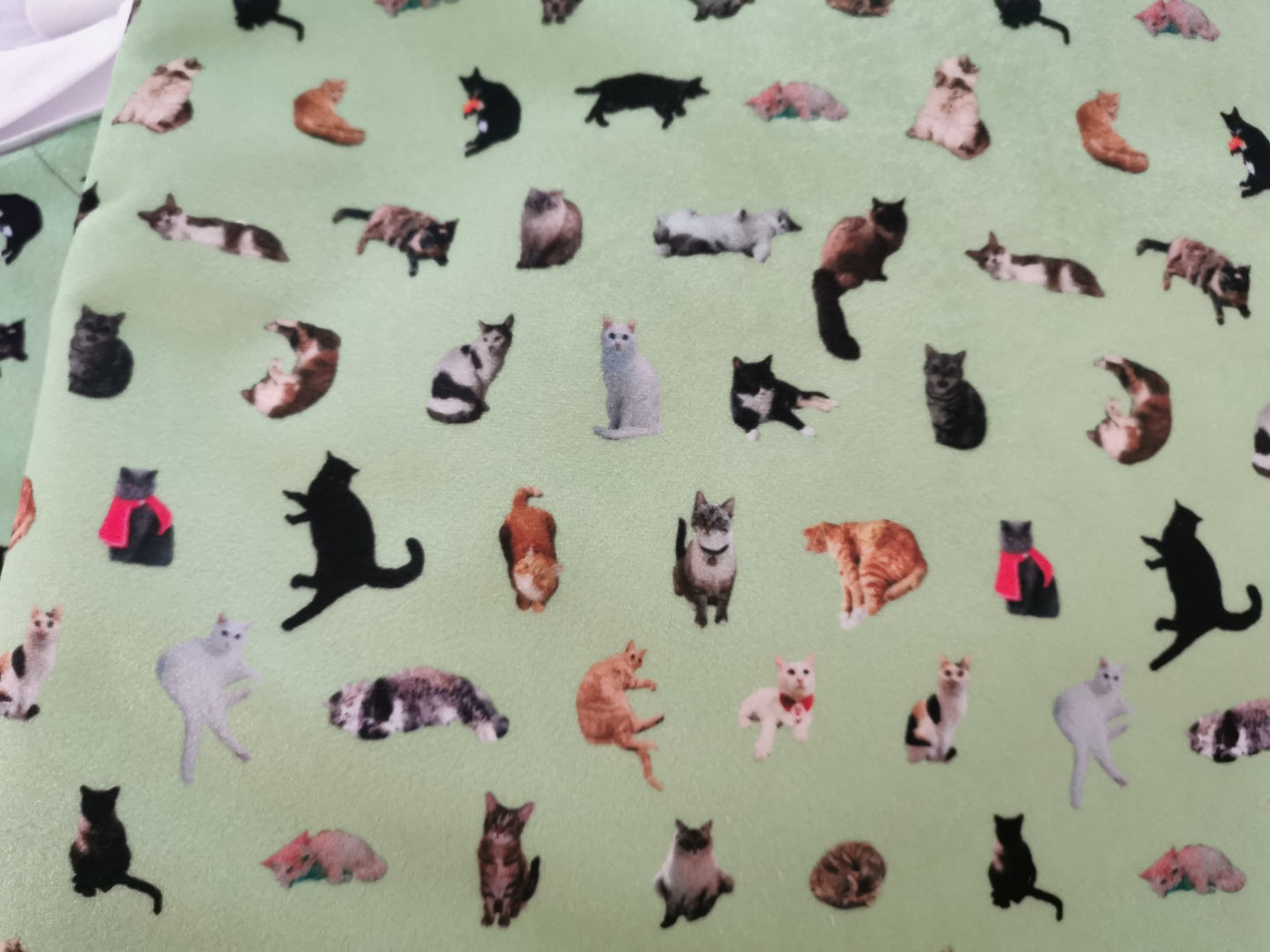 Meow fabrics, napkins and table runner
